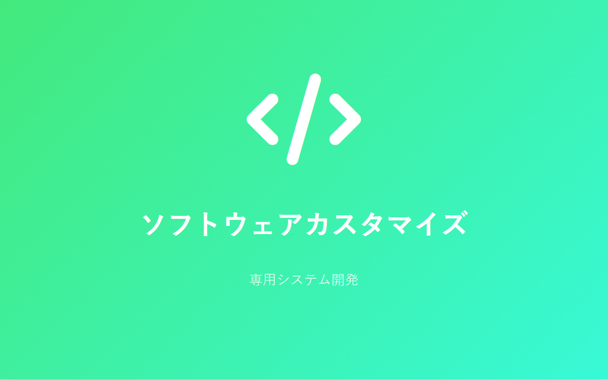 ソフトウェアカスタマイズ
